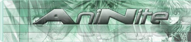 AniNite 2004
